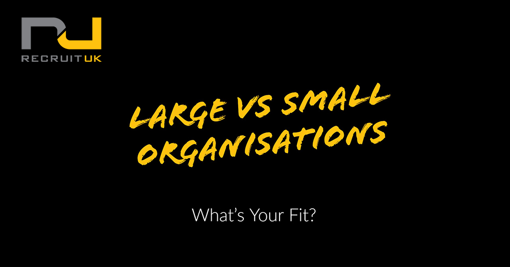 large v small organisation, whats your fit?