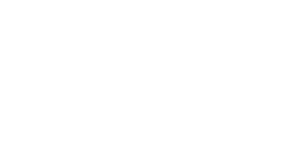 Financial Planner Life Academies Logo